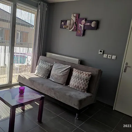 T2 Recent Avec Garage